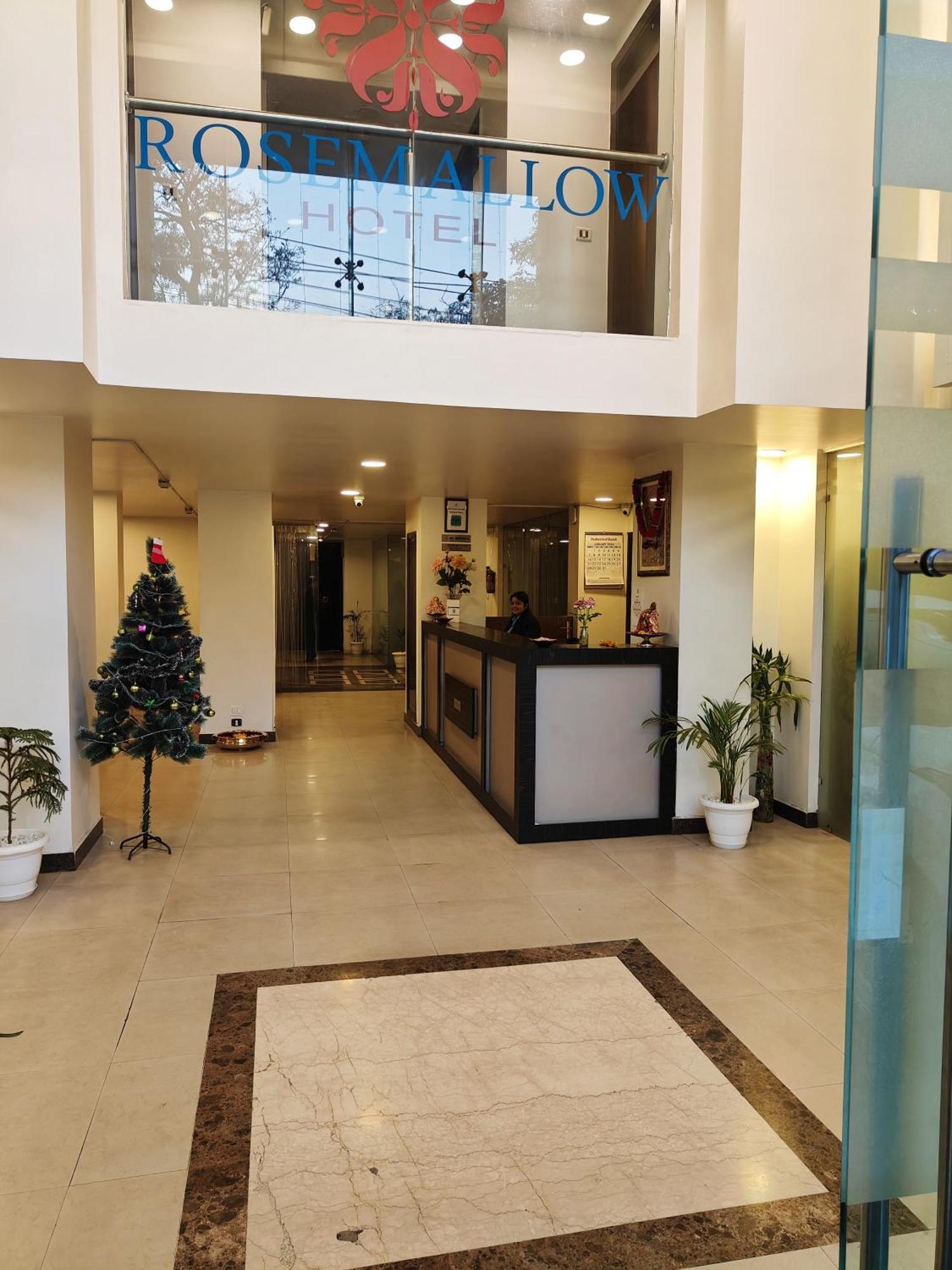 Rosemallow Hotel New Delhi Extérieur photo